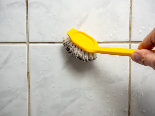 Best Water Damage Restoration  in Wheeling, WV