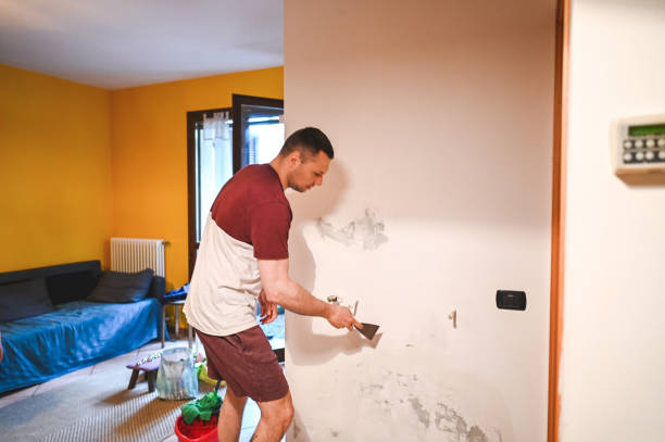 Best Mold Testing  in Wheeling, WV
